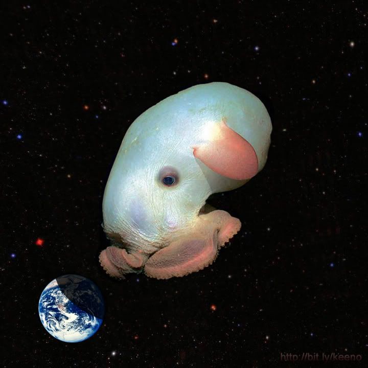 space octopus