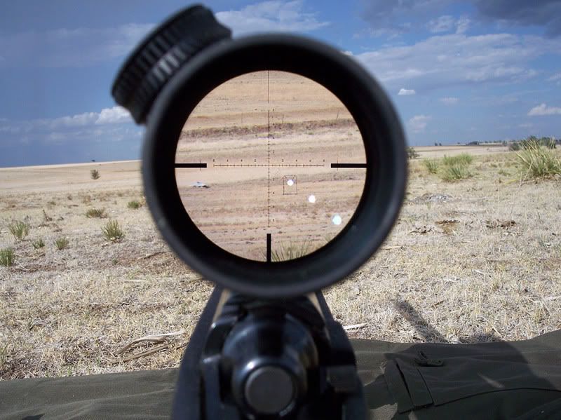 ViperPST12x500yds.jpg