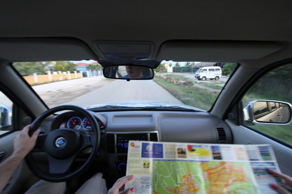 IMAGE: http://i109.photobucket.com/albums/n44/94GTStang/Bonaire%202011/IMG_4863.jpg