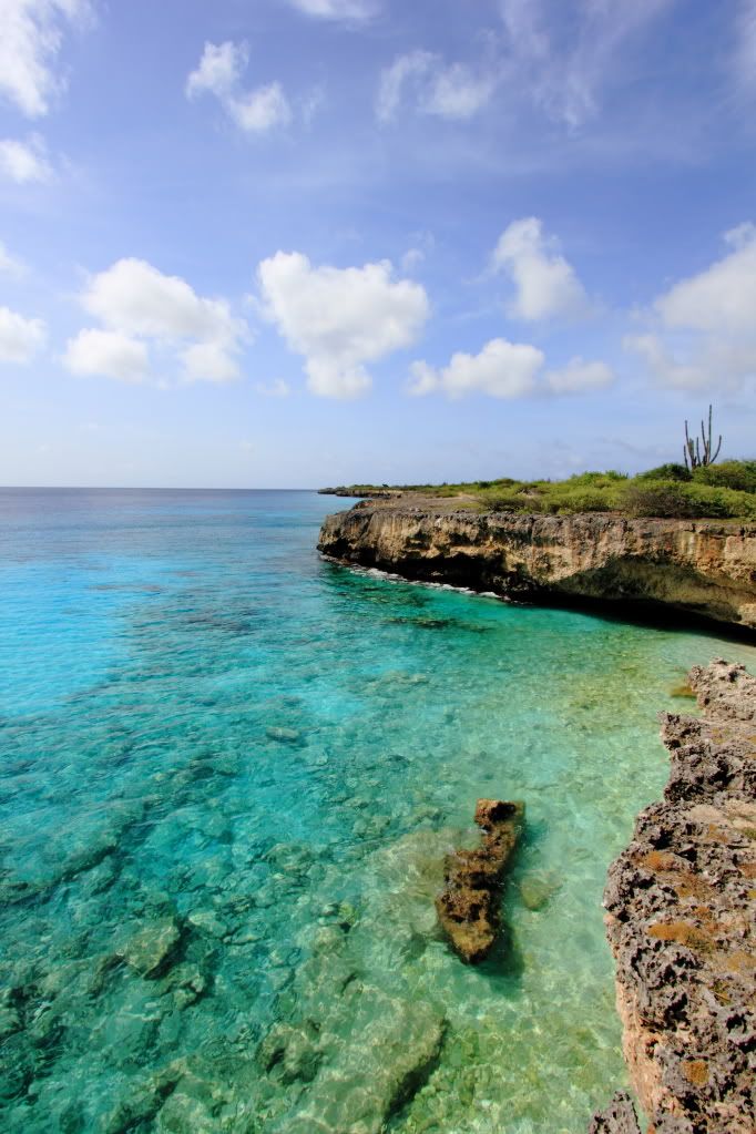 IMAGE: http://i109.photobucket.com/albums/n44/94GTStang/Bonaire%202011/IMG_5295re.jpg