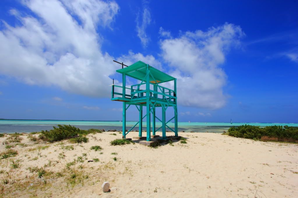 IMAGE: http://i109.photobucket.com/albums/n44/94GTStang/Bonaire%202011/IMG_5302re.jpg