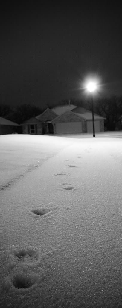 IMAGE: http://i109.photobucket.com/albums/n44/94GTStang/Random/XSi/IMG_1316-2re.jpg