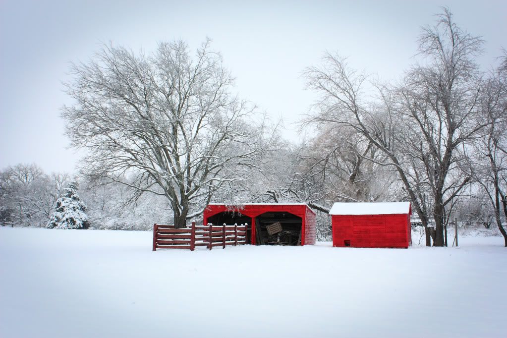 IMAGE: http://i109.photobucket.com/albums/n44/94GTStang/Random/XSi/RedBarn-2.jpg