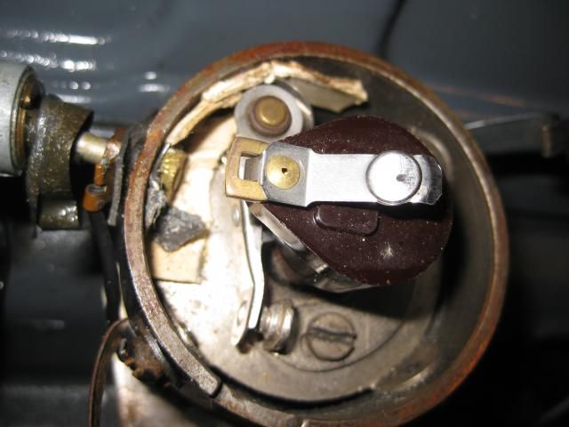 [Linked Image from i109.photobucket.com]