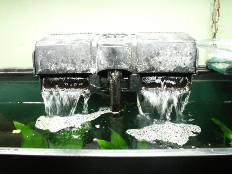 Quick and dirty HOB filter flow diverter Aquarium Advice Aquarium