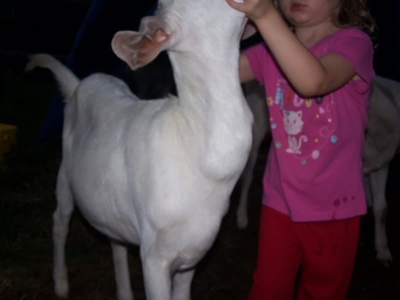 lets play- Whats that lump? - Goats