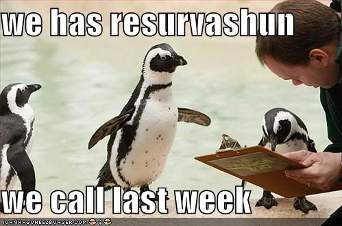 funny-pictures-penguins-clipboard-r.jpg