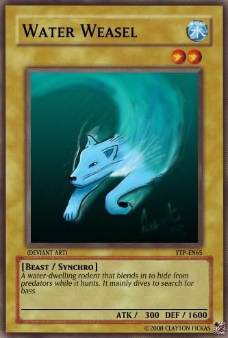 YTP_65_water_weasel.jpg