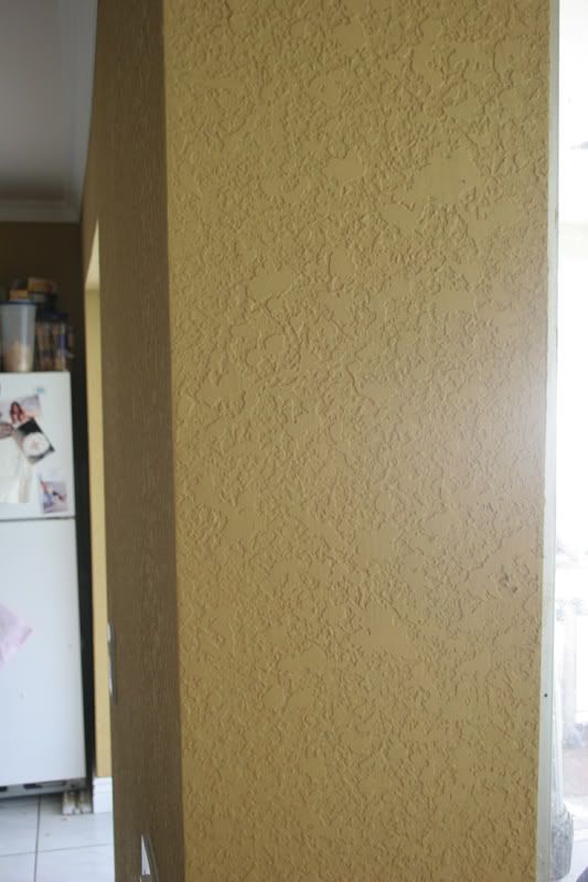 IMAGE: http://i109.photobucket.com/albums/n56/dozerlyp/IMG_0164.jpg