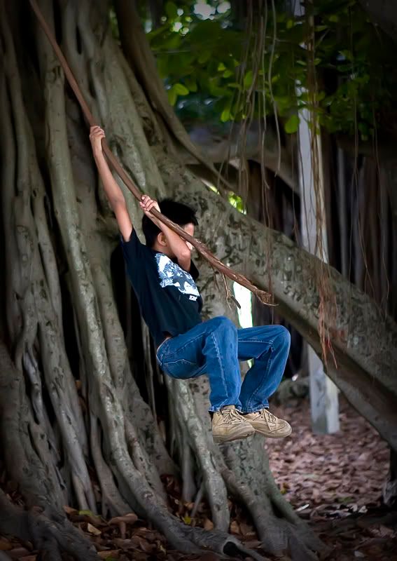 IMAGE: http://i109.photobucket.com/albums/n56/dozerlyp/IMG_0260.jpg