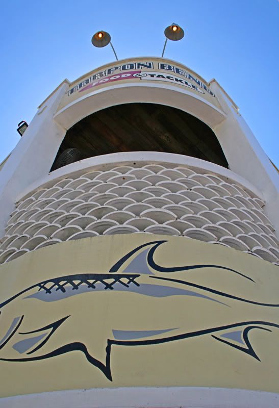 IMAGE: http://i109.photobucket.com/albums/n56/dozerlyp/IMG_1661.jpg