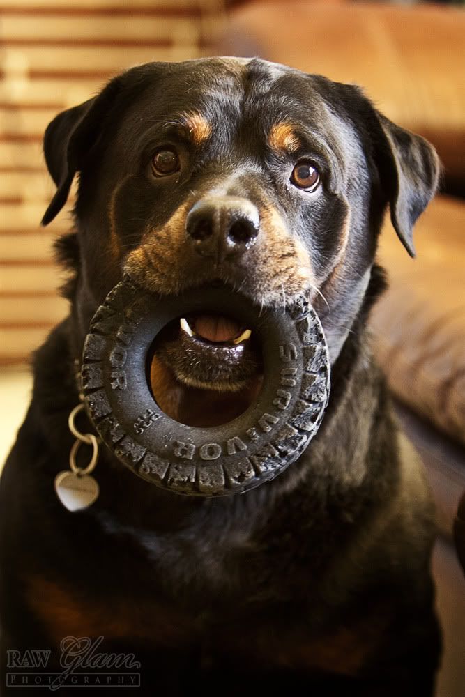 IMAGE: http://i109.photobucket.com/albums/n56/dozerlyp/IMG_1816copy.jpg