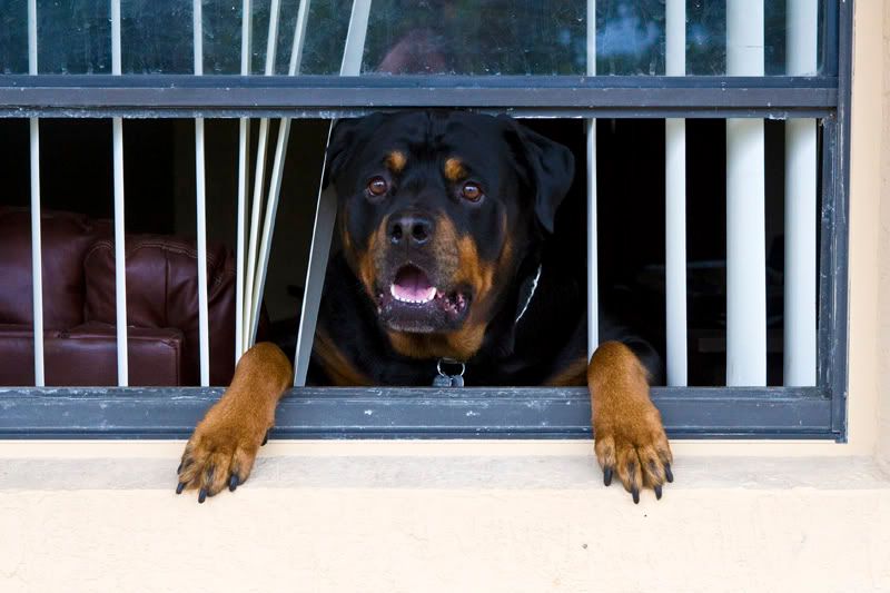 IMAGE: http://i109.photobucket.com/albums/n56/dozerlyp/IMG_7504copy.jpg