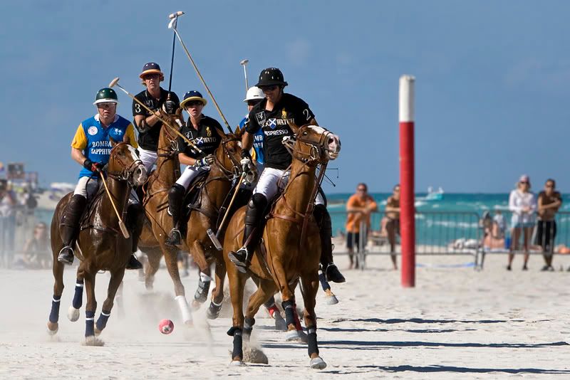 IMAGE: http://i109.photobucket.com/albums/n56/dozerlyp/IMG_9316copy.jpg