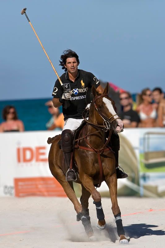 IMAGE: http://i109.photobucket.com/albums/n56/dozerlyp/IMG_9461copy.jpg