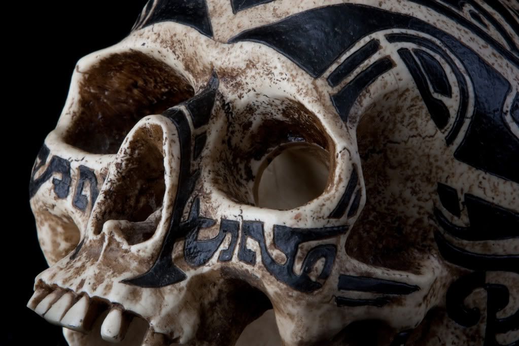 IMAGE: http://i109.photobucket.com/albums/n56/dozerlyp/IMG_9597.jpg