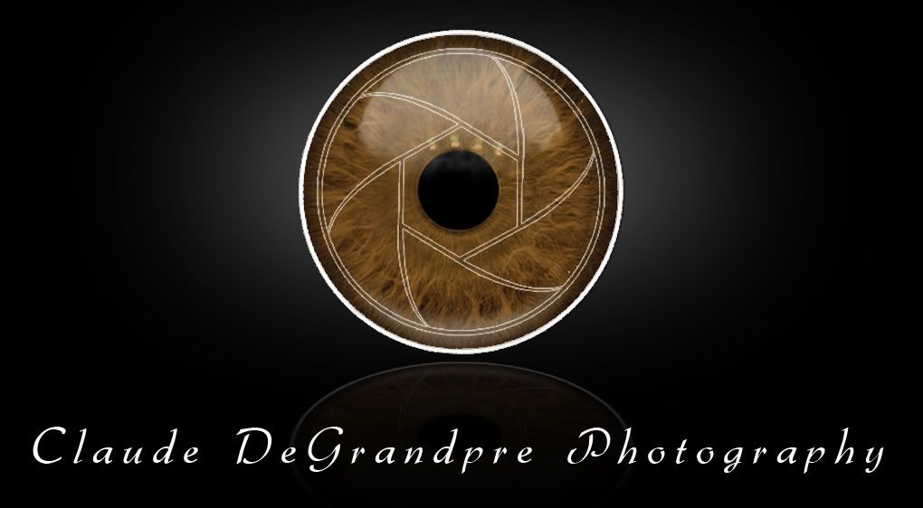 IMAGE: http://i109.photobucket.com/albums/n56/dozerlyp/photo-card.jpg