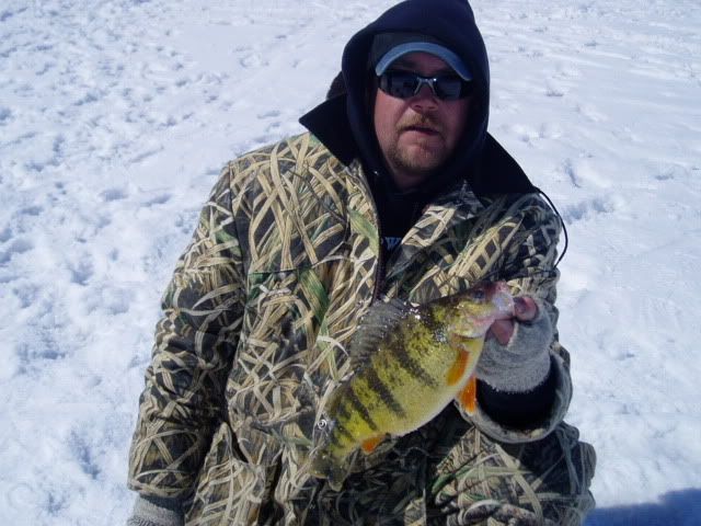 crappies20080311010.jpg