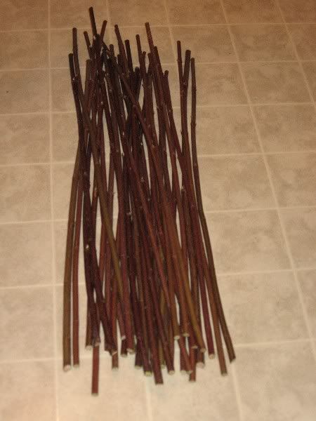 Silky Dogwood Raw Arrow Shafts Photo by pamunkey | Photobucket