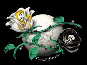 8 ball rose Pictures, Images and Photos