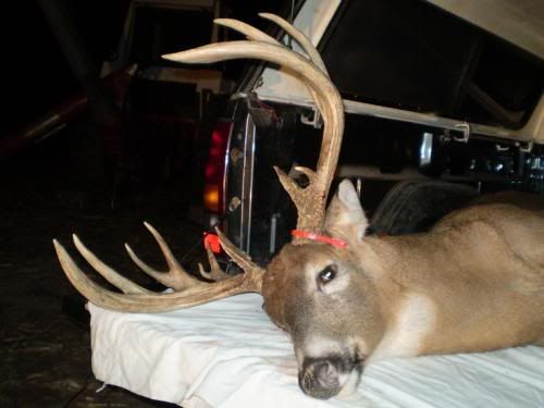 Dead Buck