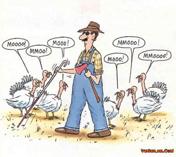 funny turkey. funny thanksgiving messages