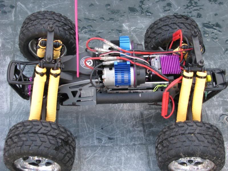 e-zilla005.jpg