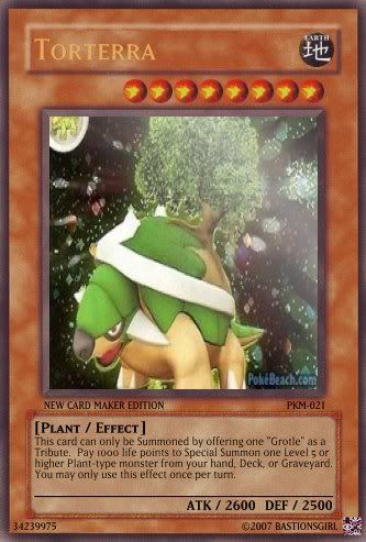 Torterra-1.jpg
