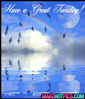 Tuesday Pictures, Images and Photos