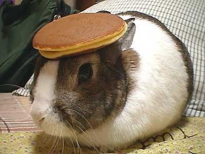 bunny_pancake1.jpg