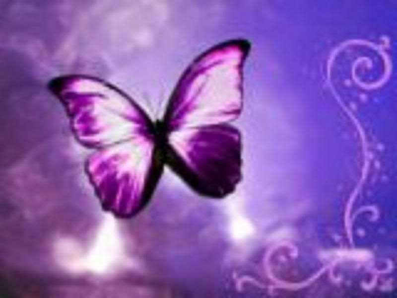 butterflies.jpg