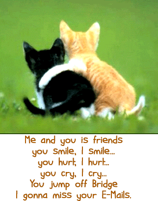 good quotes on friendship. funny quotes about friendship.