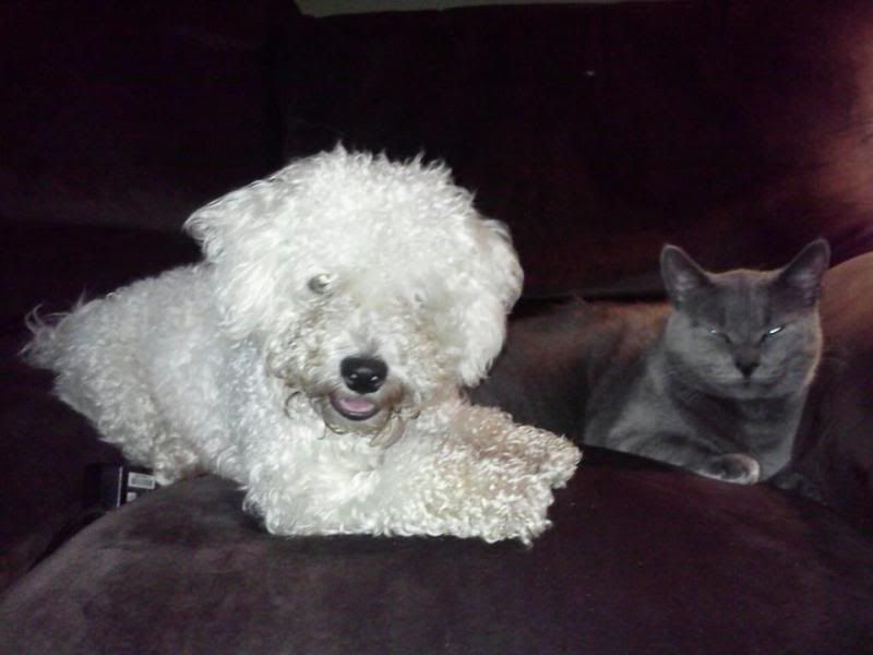 munchieshadow11292011.jpg