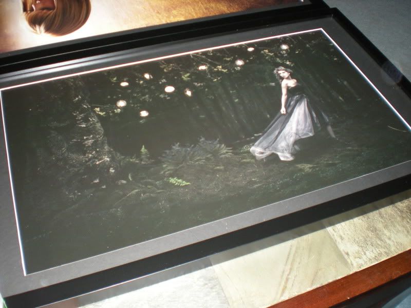 taylor swift haunted lithograph. And i just finished framing all my lithos!! DSCN0890.jpg. Haunted Litho