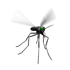 mosquito Pictures, Images and Photos
