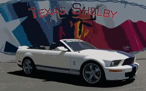 Texas-Shelby-2010-300.jpg