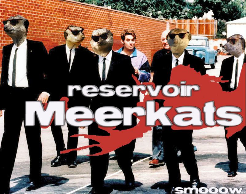 meerkat,funny meerkat,reservoir meerkats