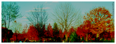 HBC RAW PHOTO - jesen foliage - HypnotEYEZZd byChokl8crave