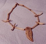 Bone bird's head, coyote teeth, coyote bone necklace.