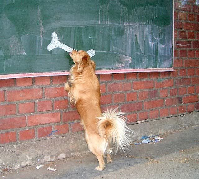 dog bone blackboard