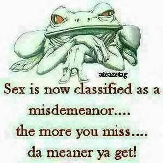 sex is a misdemeanor