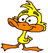 duck funny gif