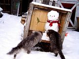 th_snowyandcats.jpg