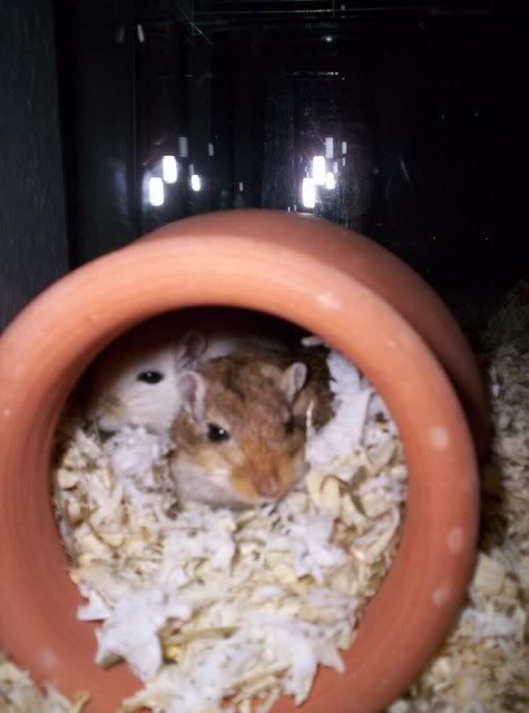 Bild003.jpg