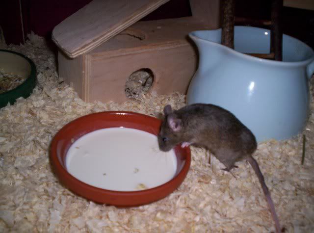 Bild017.jpg