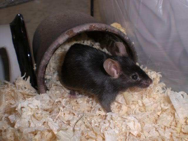 CIMG0445.jpg