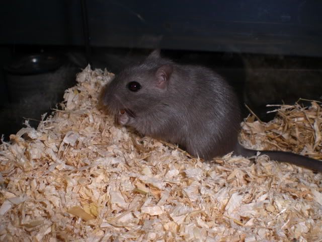 CIMG5574.jpg