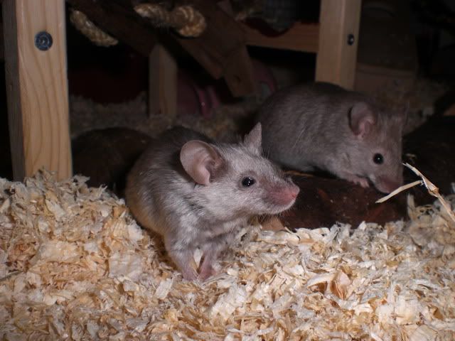 CIMG5958.jpg