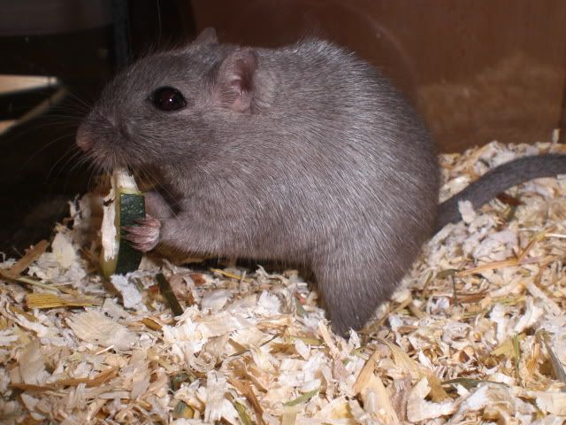 CIMG6025.jpg