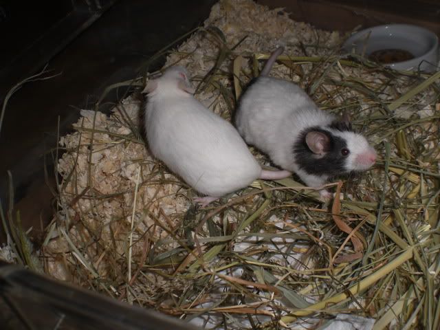 CIMG7557.jpg